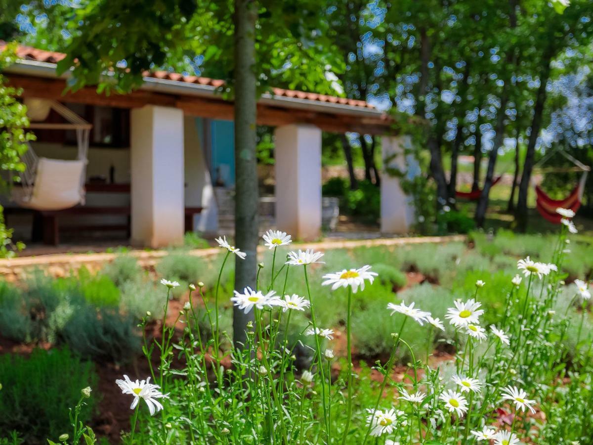 Holiday Home Country House D&D By Interhome Πούλα Εξωτερικό φωτογραφία